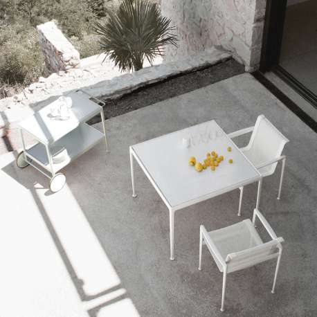 Schultz Dining Chair Armstoel - Knoll - Richard Schultz - Outdoor Dining - Furniture by Designcollectors