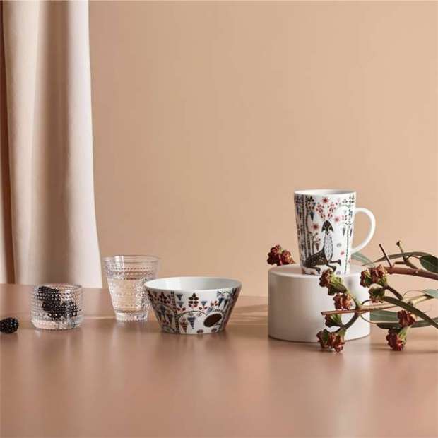 Taika bowl 0,3L Siimes - Iittala - Klaus Haapaniemi - Accueil - Furniture by Designcollectors