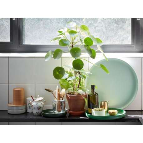 Trays Dienbladen Set van 3 - groen - vitra - Jasper Morrison - Weekend 17-06-2022 15% - Furniture by Designcollectors