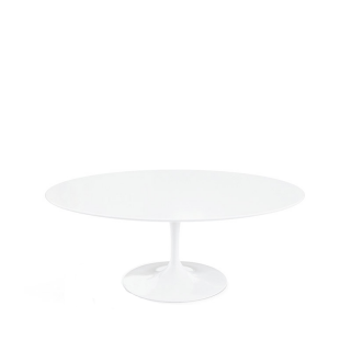 Saarinen Oval Tulip Table, White Acrylic, Outdoor (H72 D198)