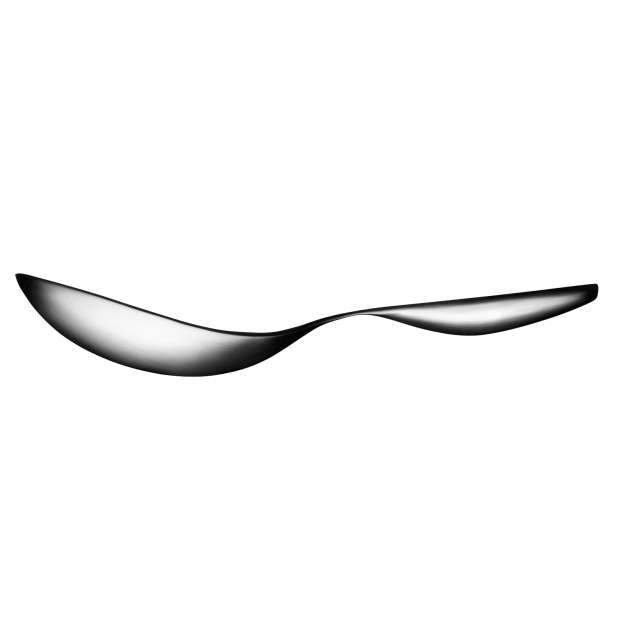 Collective Tools Serving Spoon Medium - Iittala - Antonio Citterio - Accueil - Furniture by Designcollectors